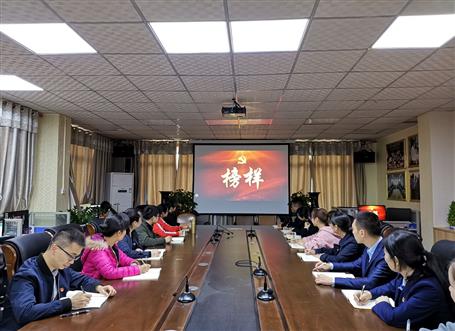 向榜樣看齊，做合格黨員