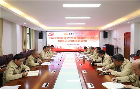 廖立波、唐峰、何勇以普通黨員身份參加所在黨支部2022年度組織生活會